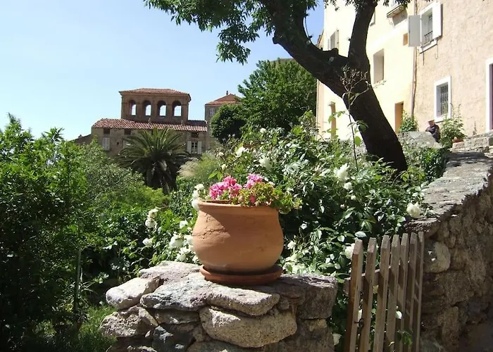 Vos Vacances A Lama France Corse