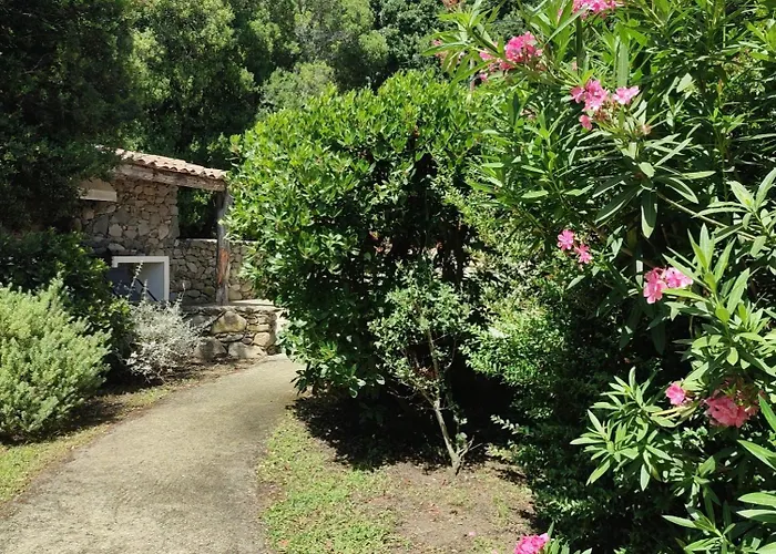Les Bergeries De Piazzagina